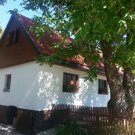 Holiday Home Rizvan City Brusane Kültér fotó