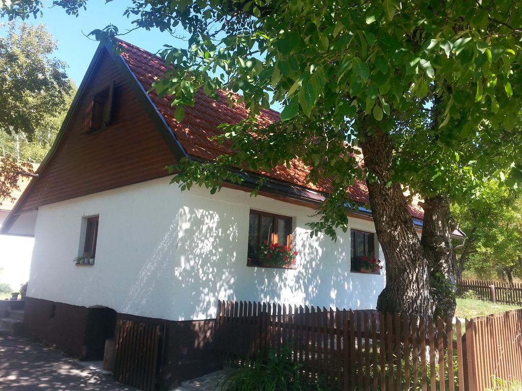 Holiday Home Rizvan City Brusane Kültér fotó